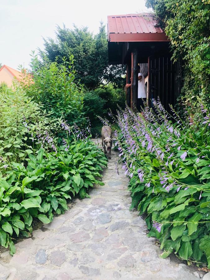 Spokojny Zaulek Ulinia Exterior foto